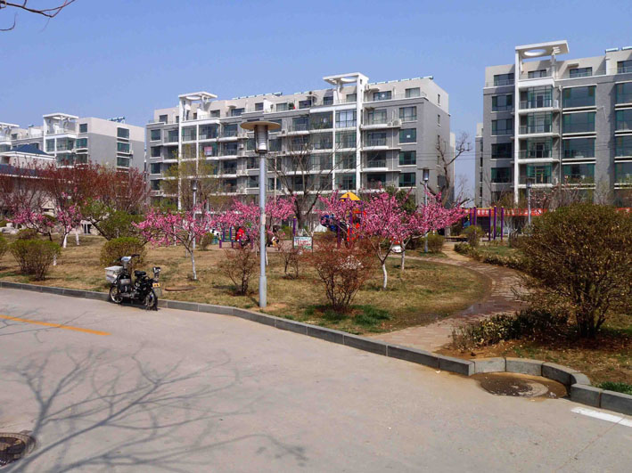 锦秀城美丽春景